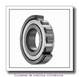 Backing ring K85095-90010 Cojinetes industriales aptm