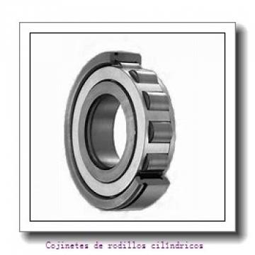 Recessed end cap K399071-90010 Backing ring K85525-90010        Cojinetes industriales aptm