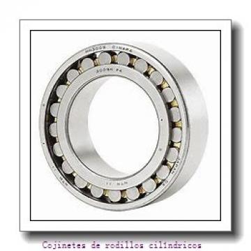 Recessed end cap K399073-90010 Backing ring K85516-90010        Cojinetes industriales AP