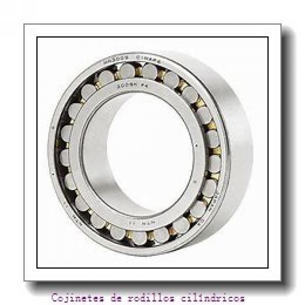 Recessed end cap K399073-90010 Backing ring K85516-90010        Cojinetes industriales AP #1 image